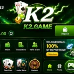 K2 Game Dashboard image